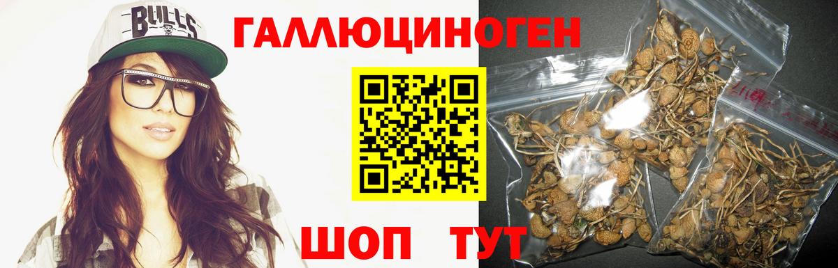 Екатеринбург  Псилоцибиновые грибы Psilocybine cubensis  Вход с VPN 